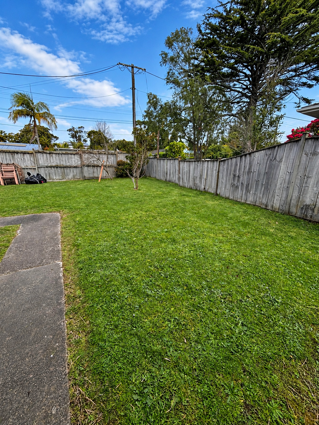Neat lawn care service in a green backyard